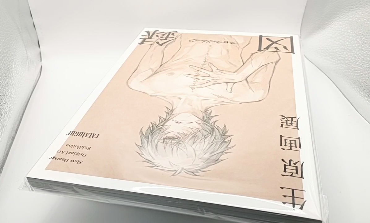 NORIHIKO DAN AND ASSOCIATES 作品集 Slow Damage Original Art Exhibition Catalog Book Nitro + Chiral