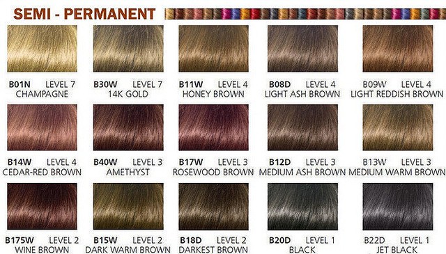 clairol-collection-semi-permanent-cream-hair-color-champagne-b01n-for