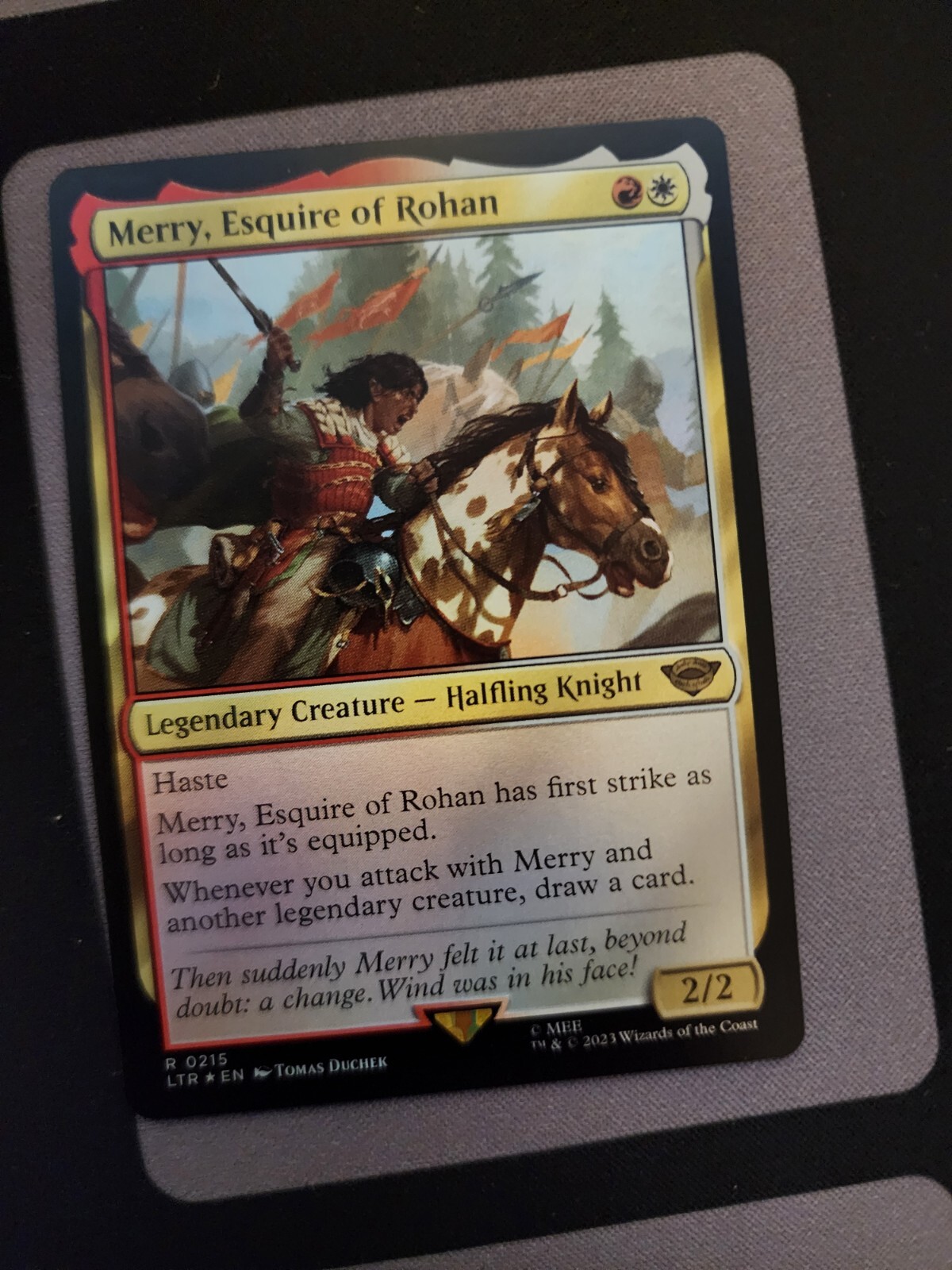 NM Merry, Esquire of Rohan (Rare Foil), MTG, Lord of the Rings, 215