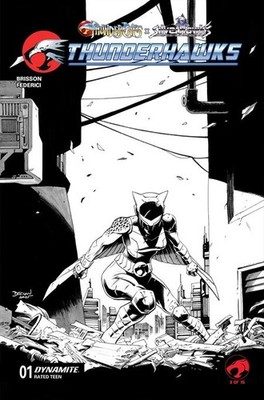 THUNDERCATS X SILVERHAWKS THUNDERHAWKS #1 VARIANT CVR I INC 1:10 DECLAN SHALVEY