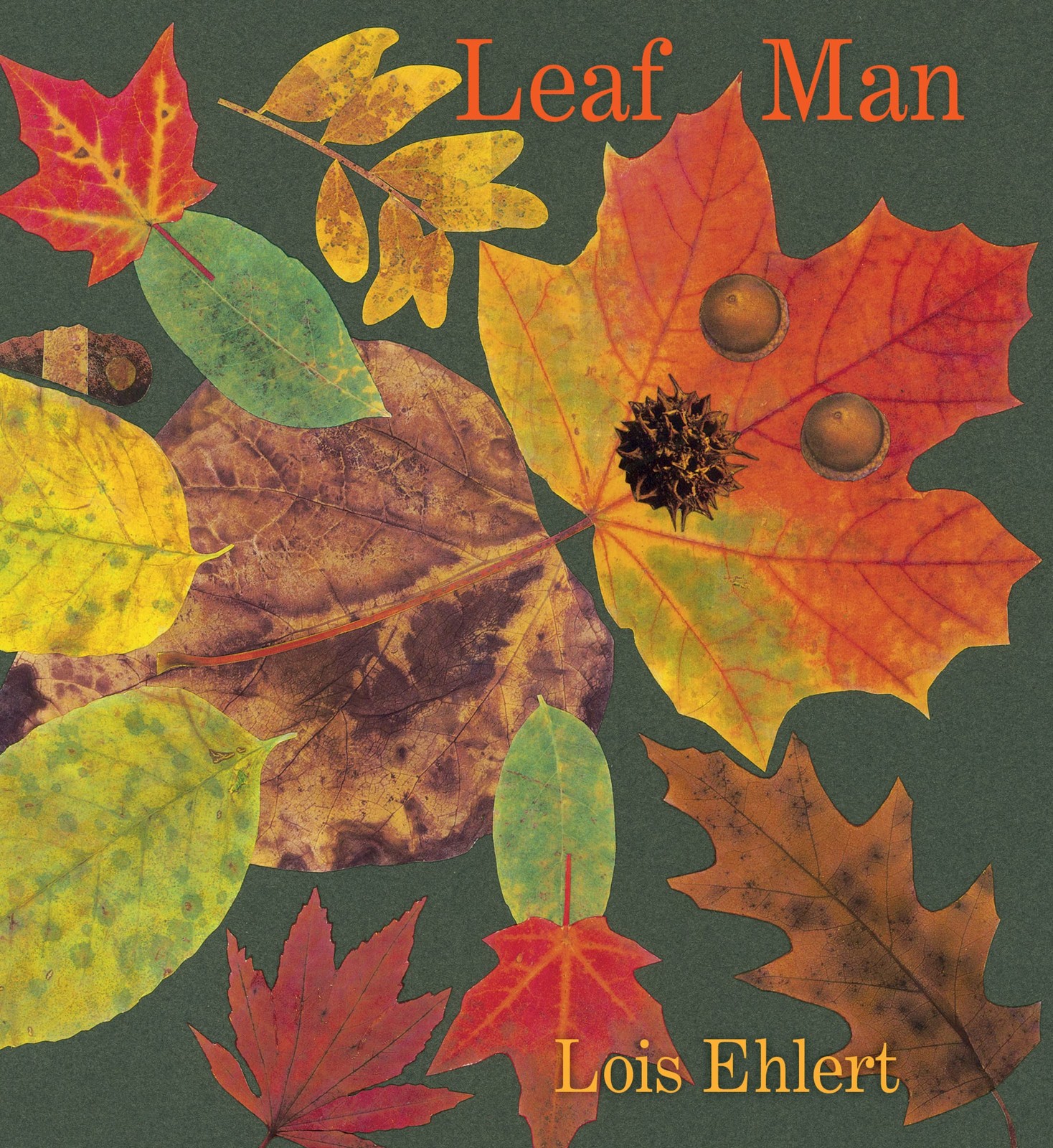 Leaf Man: A Caldecott Honor-Winning Picture Book by Lois Ehlert | HB | 2023 - Image 4