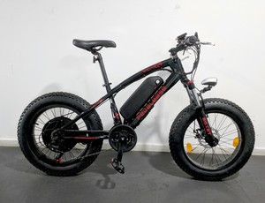 pedalease fat bike 1500w