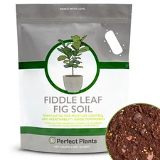 Fiddle Leaf Fig Soil 8QT - Premium Blend for Fiddle Leaf Figs