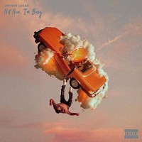 Lucas - Not Now I'm Busy - Cd - G3Z