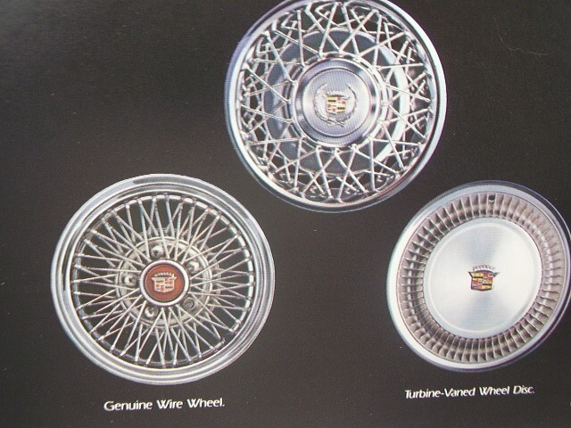 Picture 6 of 6
