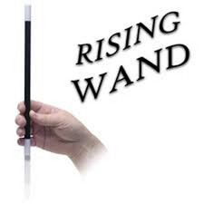 Rising Wand Magic Trick Or As A Nomormal Magician Stick 25cm 10 PCS 