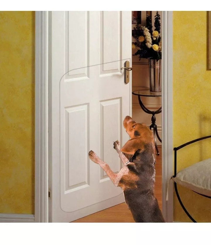 Cat door scratch protector 2025