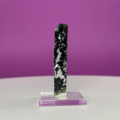 Tourmaline in Matrix Stak Nala Pakistan Mineral Specimen w/ Display Base