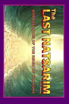 Last Natsarim: Ambassadors Of The Reign - Paperback, by White Lew - Acceptable n