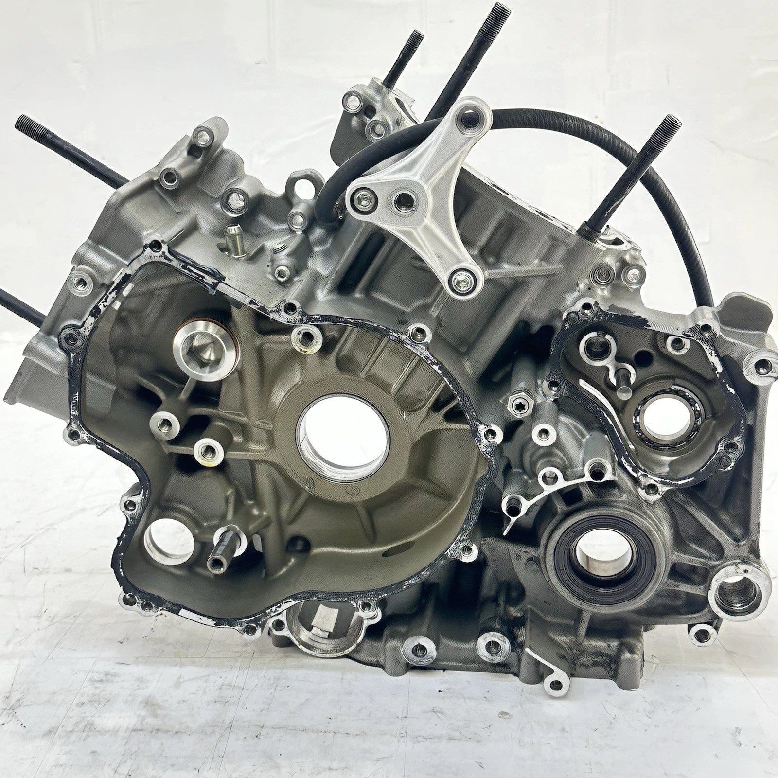 2016 - 2019 DUCATI PANIGALE 959 CRANKCASE ENGINE MOTOR BLOCK CASE BOLTS HARDWARE