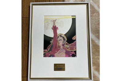 ONE PIECE Musee Frame Art Collection Monkey D Luffy Seriennummer ungeöffnet