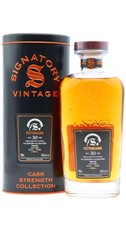 Fettercairn - Signatory Vintage Symington's Choice Single Cask #2831 1995 30 ...