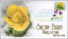 22-285, 2022, Snowy Beauty, Digital Color Postmark, First Day Cover, Winter Acon