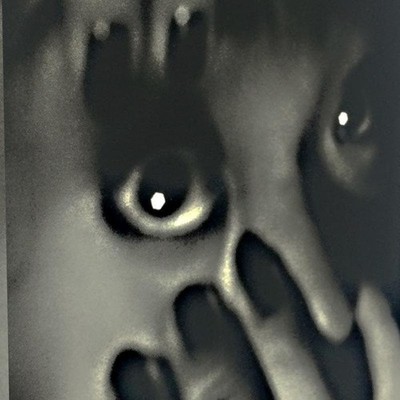 額装済作品/森山大道/EYEBALL 1980/インテリア/アート Moriyama Daido Eyeball 1980 Limited Mat Framed Print Photography