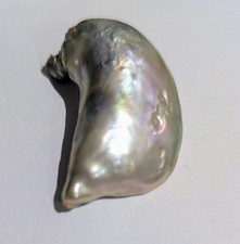 Very Rare Natural Abalone Pearl, 59 carats, 11.85gm