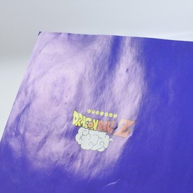 DRAGON BALL Z Idainaru PC Engine SCD 1431 pe