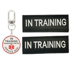 Service Dog in Training Patch 2 Pcs, Medium, In (Black & Tag)