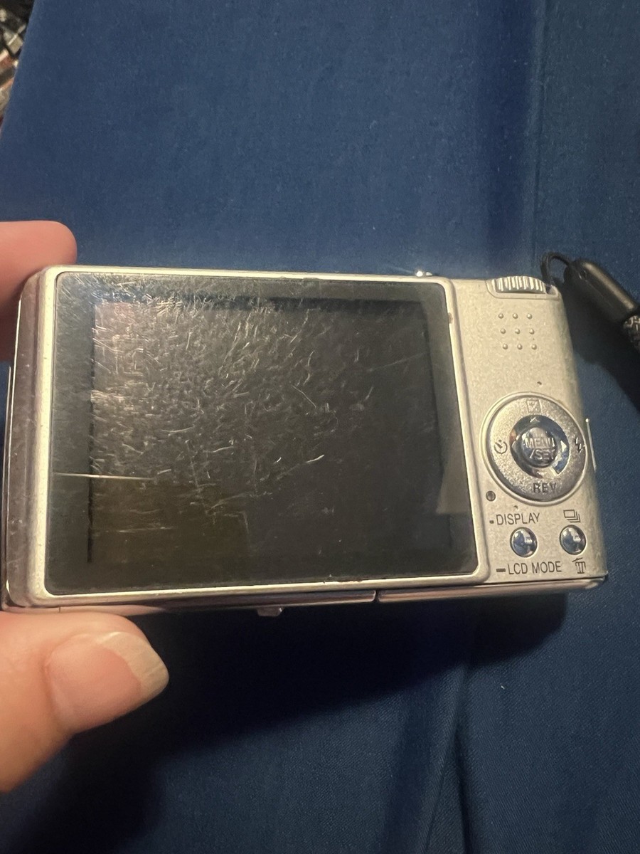 Panasonic Lumix DMC-FX01 6.0MP Digital Camera Silver Tested w/Batt