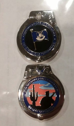 Air Force Desert Defenders 412th Squadron Lieutenant Colonel Challenge Coin USAF