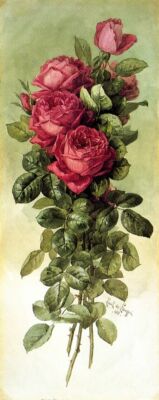Chart Needlework DIY - Counted Cross Stitch Patterns - American Beauty Roses