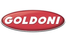 Frizione trattorino tagliaerba modelli F187 02020014 GOLDONI