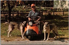 Tarjeta postal de Grove, Oklahoma oficial de seguridad de HAR-BER VILLAGE y perros pastores alemanes