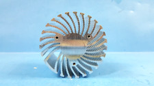 One- Heatsink, Round, for Power LED, 2 1/2" x 1 1/2"