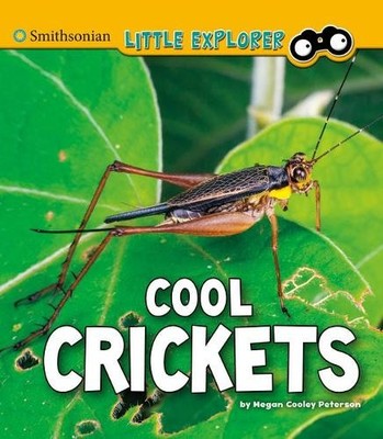 Megan Cooley Peterson Cool Crickets (Paperback) Little Entomologist 4D