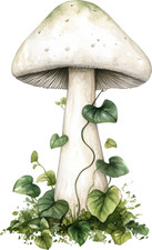 Wall decal sticker mushroom wall sticker 18 x 18 cm large
