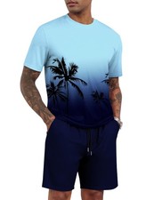Men Graphic Shirt and Shorts Set Hawaiian Print 2 Piece Outfit Casual Summer ...