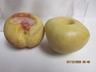 4 pc Vintage Italian Alabaster Marble Stone Fruits MCM -  Fig  Lemon Apple Peach — photo 3