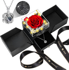Preserved Red Real Rose with Heart I Love You Necklace -Eternal Flowers Rose Bir