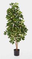 Artplants Kunstpflanze Schefflera Premium, Getopft, GrüN-Weiß, 80Cm