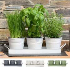 Kitchen Windowsill Metal Herb Pots With Tray Set Window Sill Garden Plant Indoor