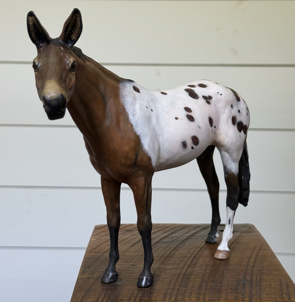 John Mule Dressage Mule For Sale Mule Gelding Years 14,2 Hh Dun In