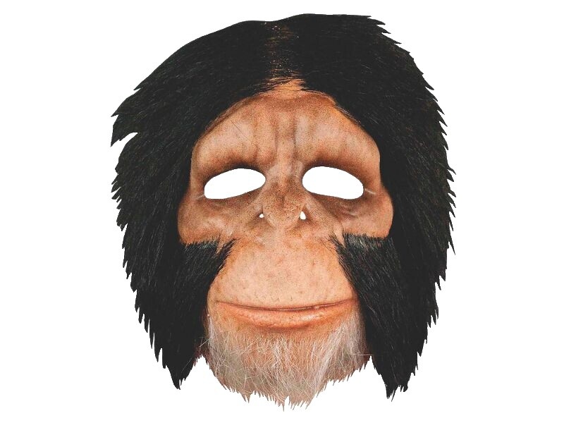 realistic-monkey-mask-ebay
