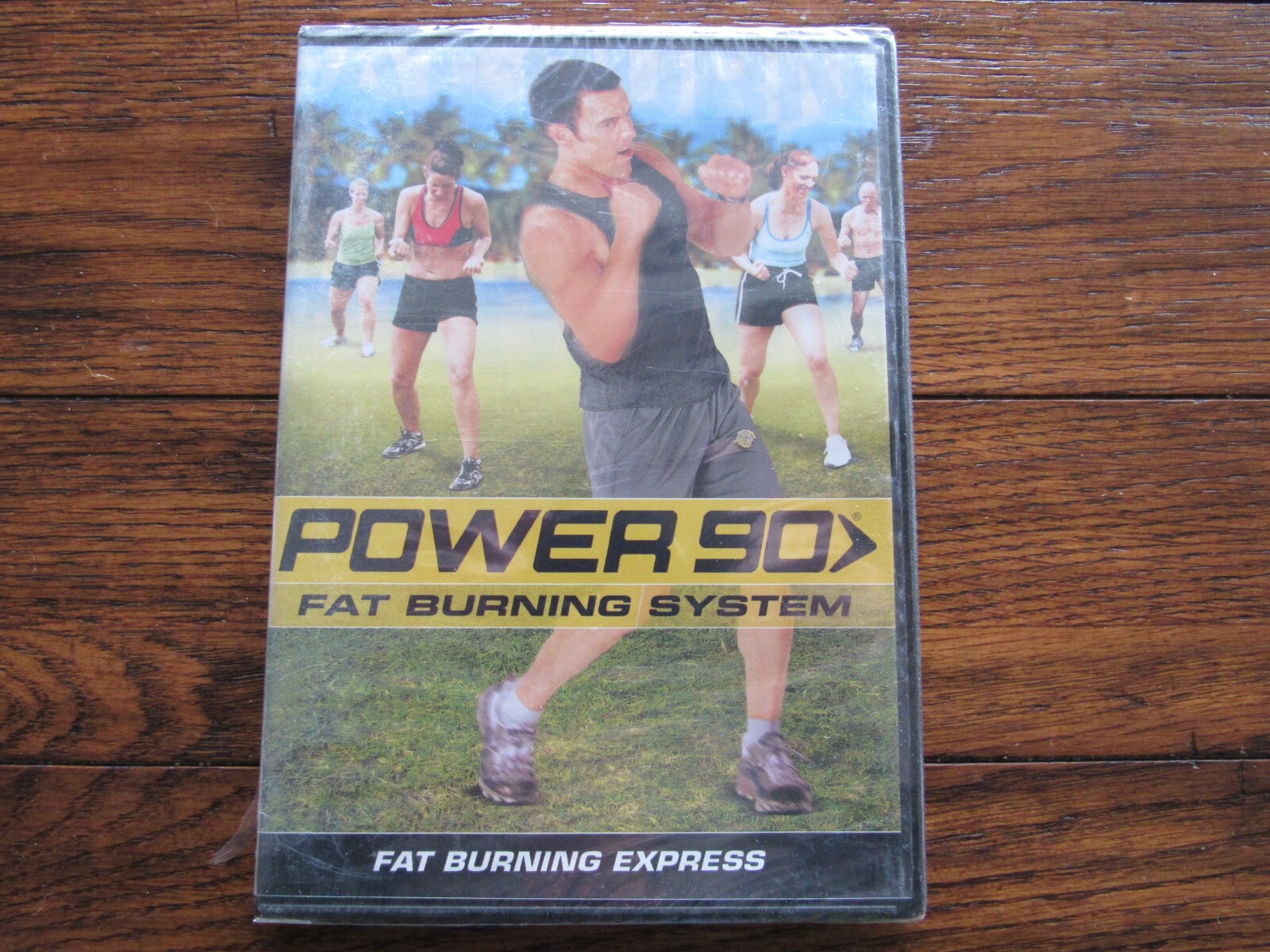POWER 90 FAT BURNING SYSTEM DVD Fat Burning Express Hawaii Trip Success Stories eBay