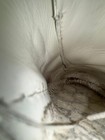 Bild 12 von 17