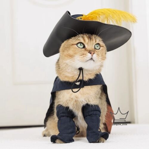 Vêtements pour animaux de compagnie puss dans les bottes costume de chat cosplay manteau Pussy chapeaux costume d'Halloween - Photo 1 sur 16