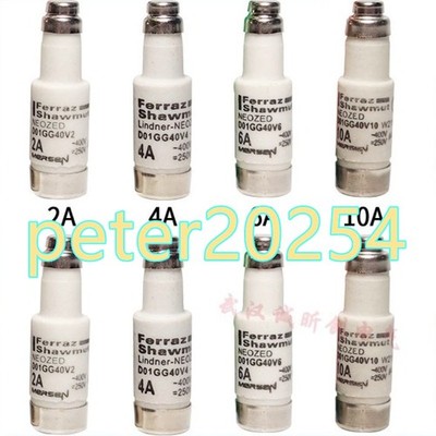 1PC NEW Ferraz NEOZED D01GG40V2/V4/V6/V10/V16 400V-250V Fuse #LL