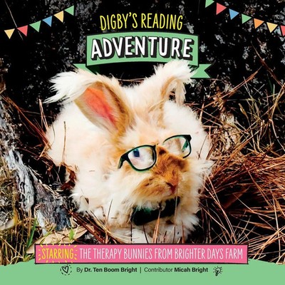 Ten Boom Bright | Digby's Reading Adventure | Taschenbuch | Englisch (2026)