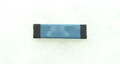 US Agency, Department, Chaplains' Medal of Valor service ribbon