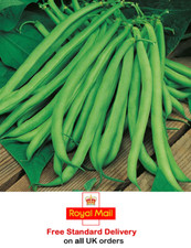 50 x CLIMBING FRENCH BEAN BLUE LAKE SEEDS - Sow April to July - Fast Dispatch +