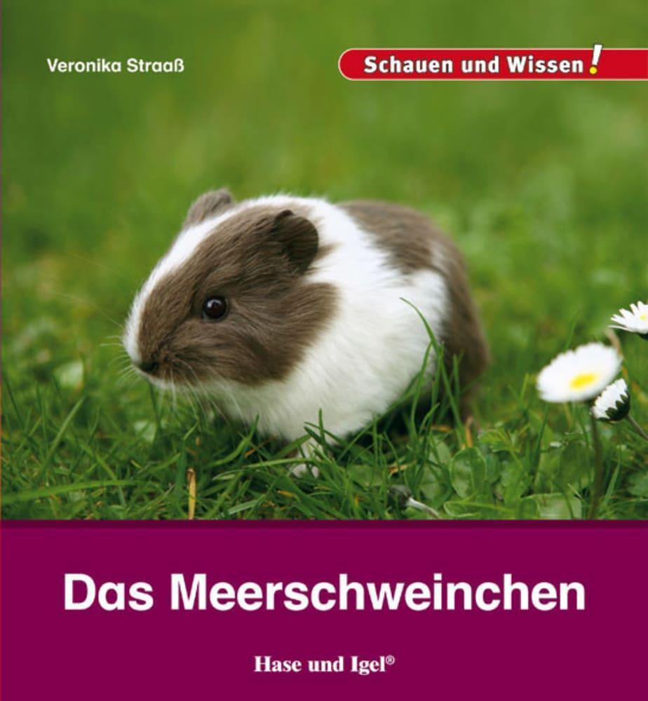 Thumbnail - Das Meerschweinchen | Schauen Und Wissen | Veronika Straaß | Deutsch |