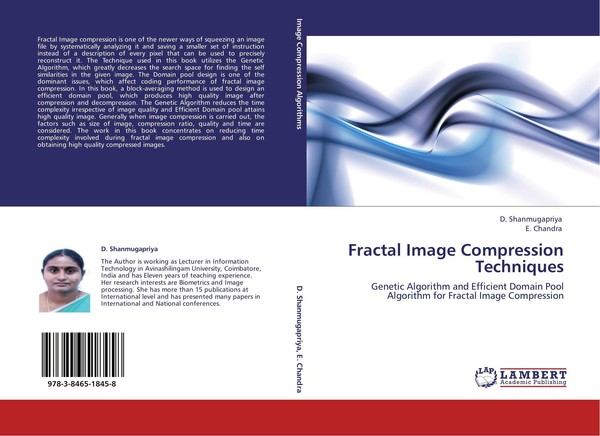 Fractal Image Compression Techniques E. Chandra-image