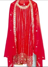 Indian Pakistani Tradition Designer Shalwar Kameez Embroidery Dress
