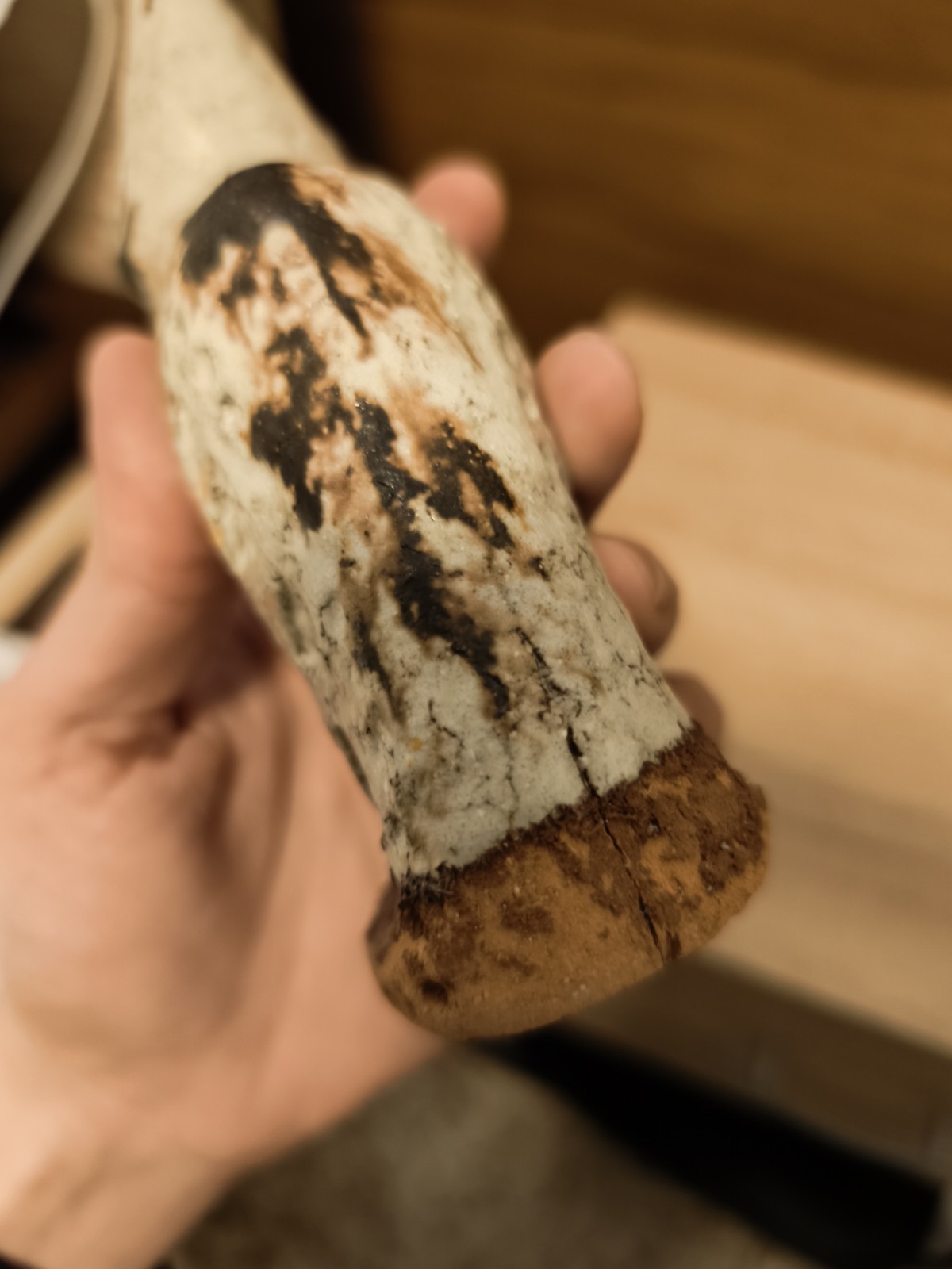 Ceramica Vintage GATTO + COLOMBA BITOSSI ALDO LONDI Cat Bird Scavo Rimini Blu