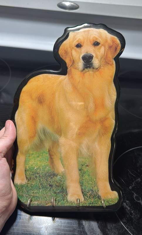 Golden Retriever Dog-Shaped Wall Mounted Key Holder Plaque, Multicolor