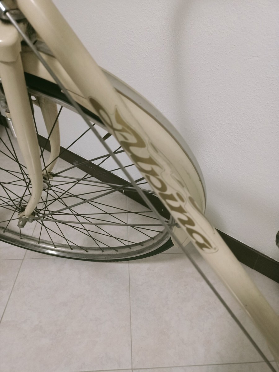 bicicletta uomo freni a bacchetta sella Brooks pelle