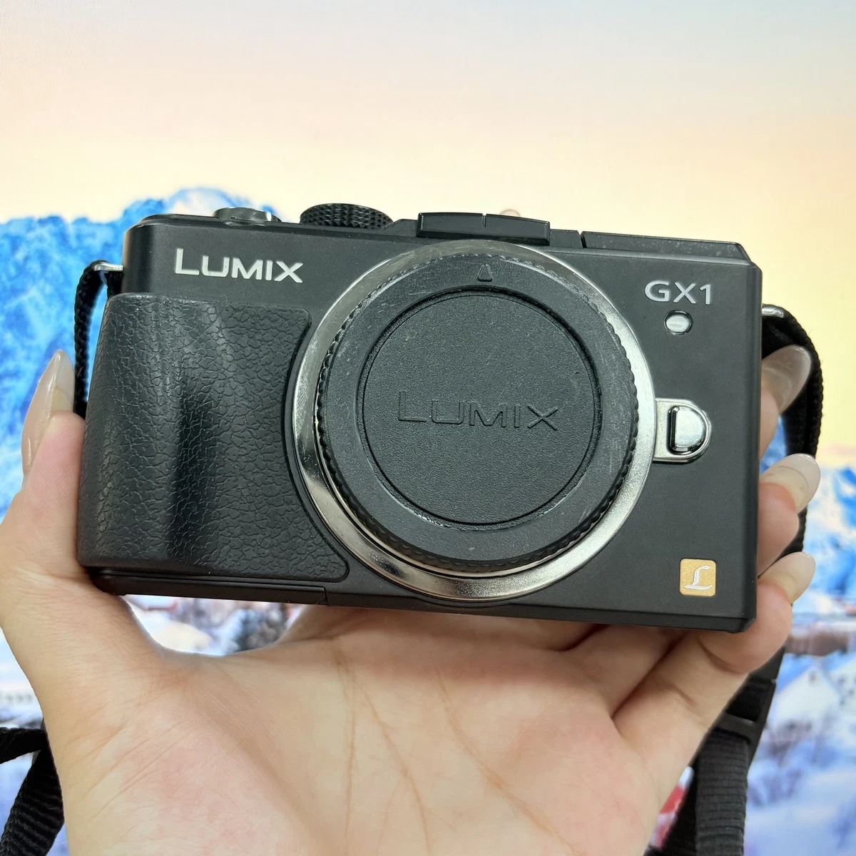 Panasonic Lumix DMC-GX1 Digital Cameras for sale | eBay
